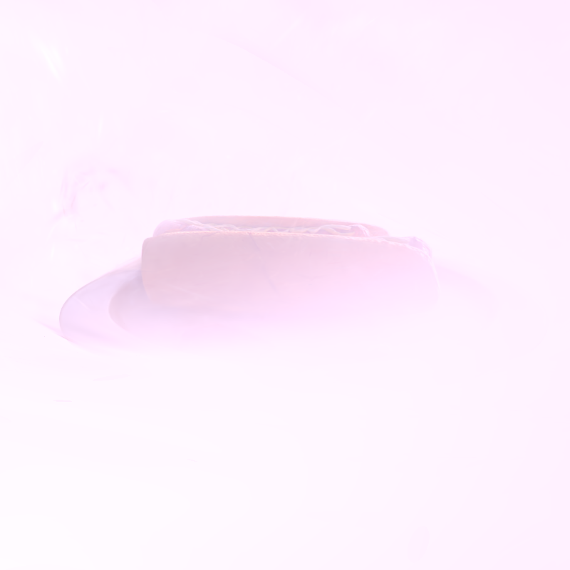 rendered view 01